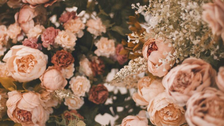 Christiane BIENCOURT